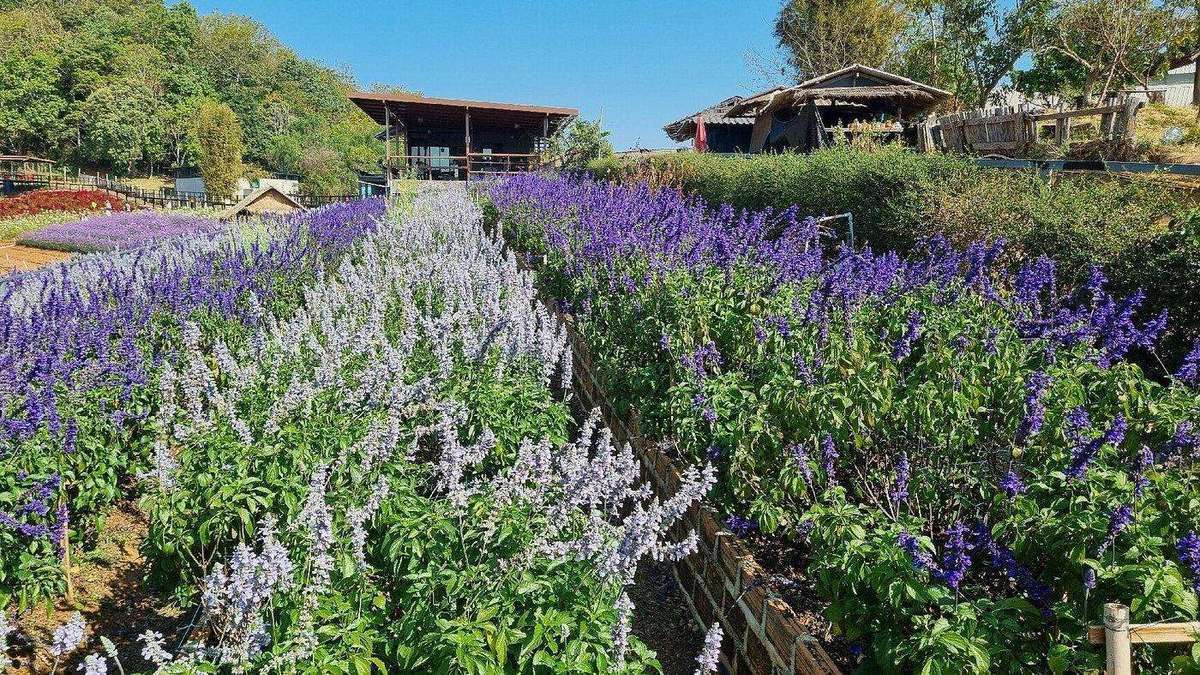 Nong Hoi Royal Project