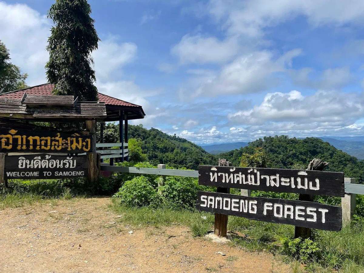 Samoeng Forest Viewpoint