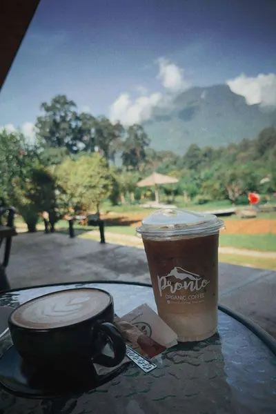 Pronto Coffee