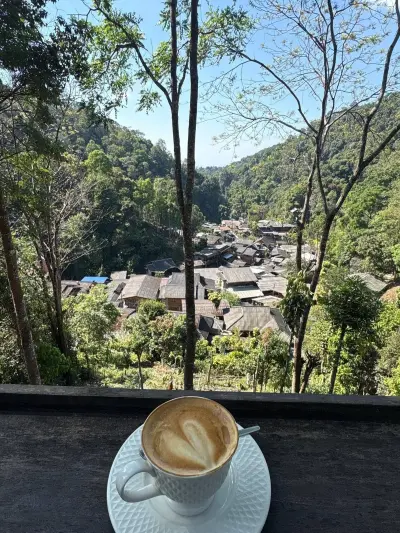 Coffee Above Mae Kampong