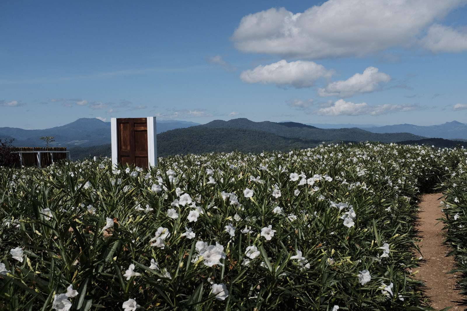 Mae Rim Discovery Ride