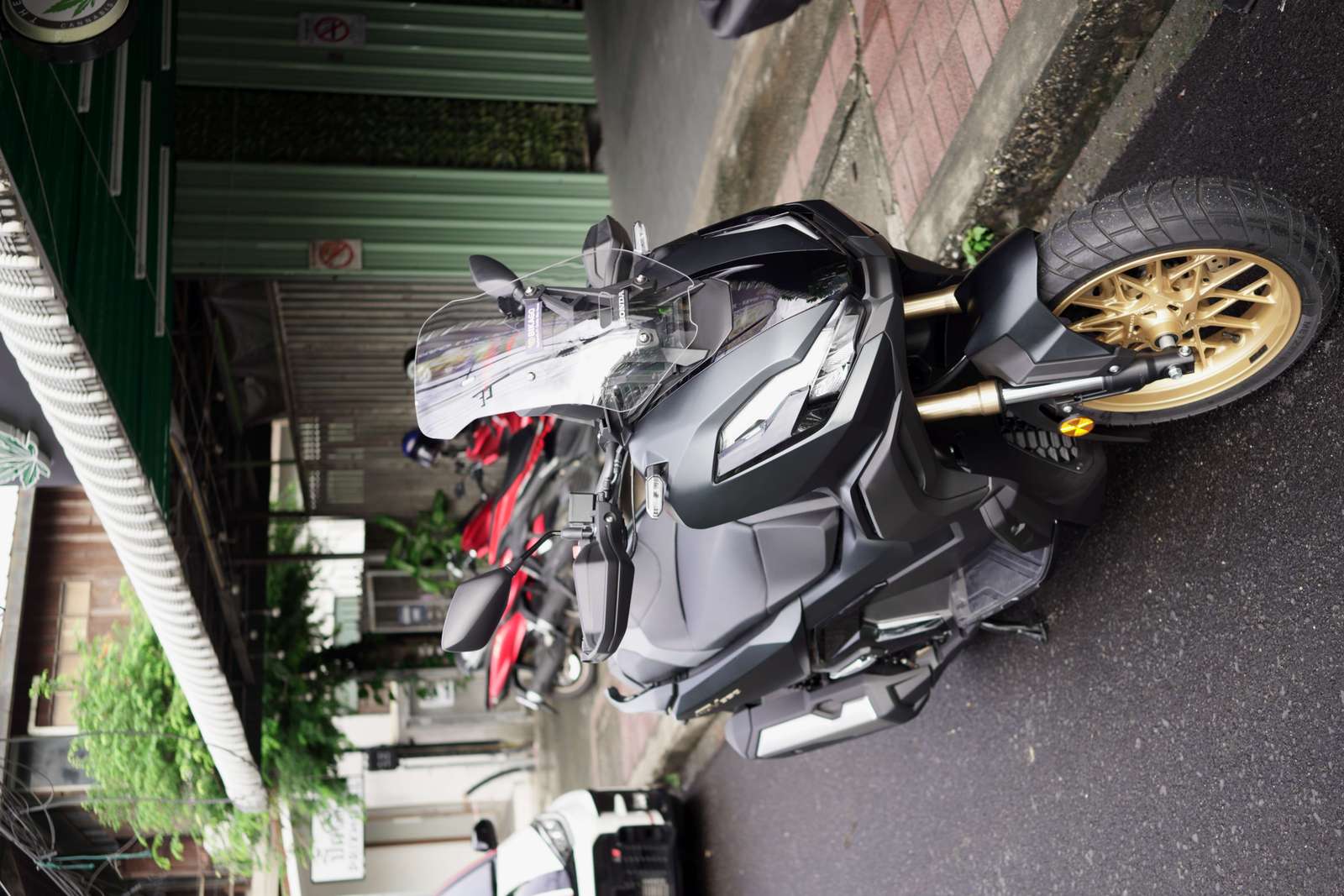 Best Scooter for Mountain Day Rides