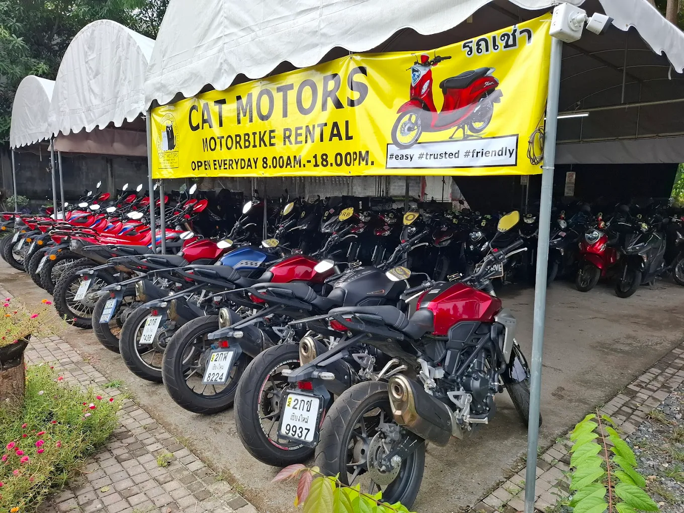 Cat Motors Chiang Mai shop frontage and fleet visible from the street